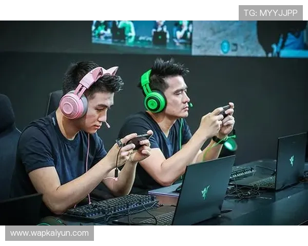 开云真人娱乐人详细解析最新真人娱乐游戏的玩法技巧与安全保障措施